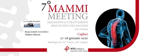 7° Mammi Meeting 7° Mammi Meeting