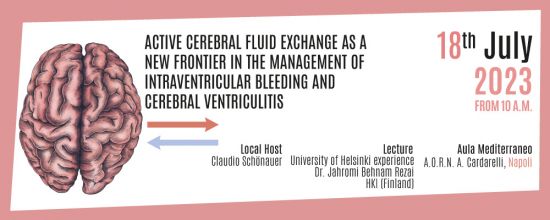 Active cerebral fluid exchange as a new frontier in the management of intraventricular bleeding and cerebral ventriculitis