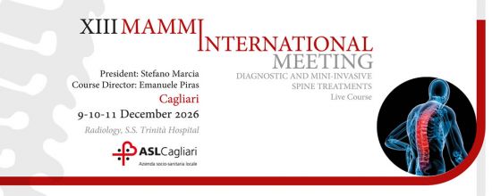 XIII MAMMI International Meeting - Diagnostic and Mini-invasive spine treatments