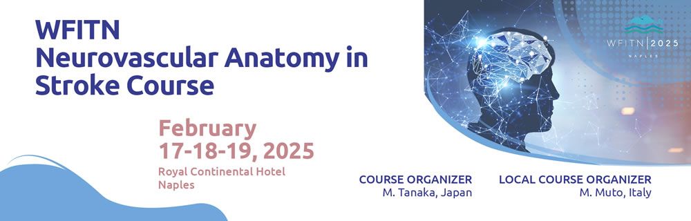 WFITN Course in Neurovascular Anatomy for Stroke