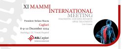 XI MAMMI International Meeting - Diagnostic and Mini-invasive spine treatments