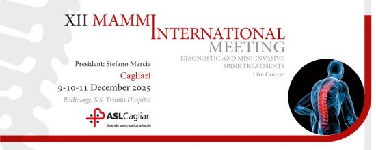 XII MAMMI International Meeting - Diagnostic and Mini-invasive spine treatments