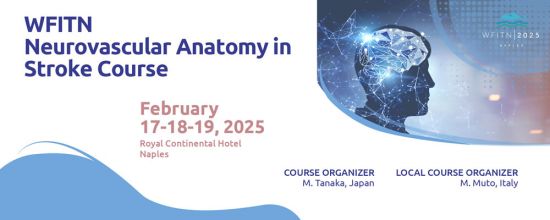 WFITN Course in Neurovascular Anatomy for Stroke